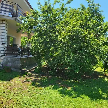 Bojan * Izola