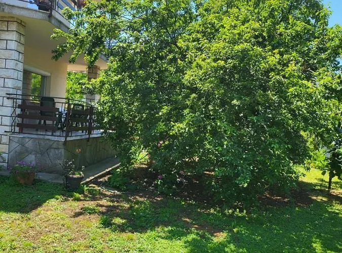 Bojan * إيزولا